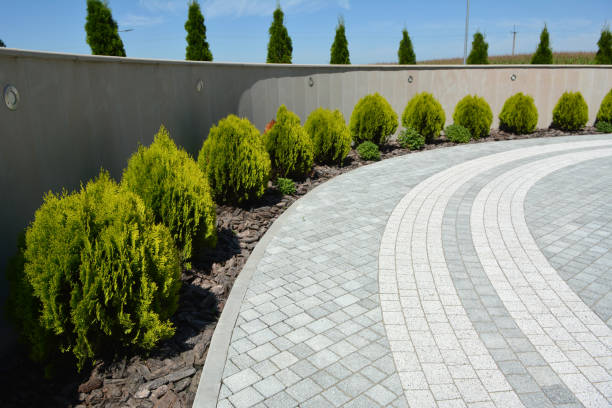 Best Driveway Pavers Near Me  in Jonesville, NC